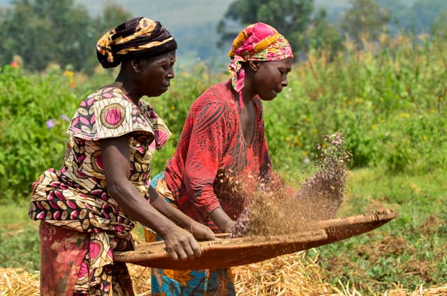 Femmes en milieu rural béninois lors d'une activité traditionnelle